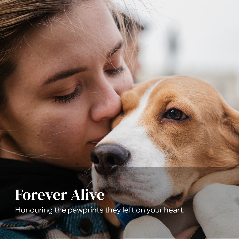 Honouring the pawprints they left on your heart.