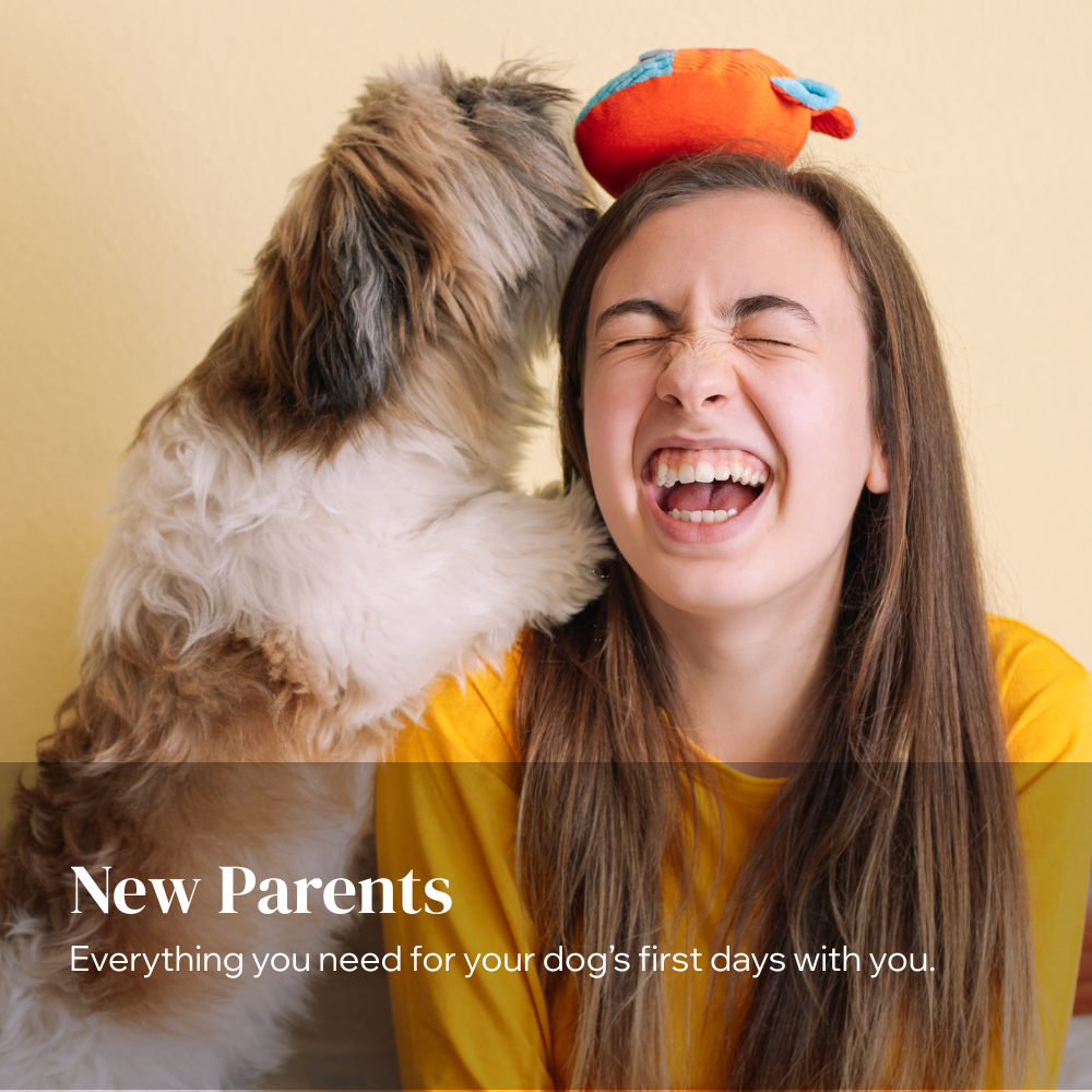 Everything you need for your dog’s first days with you.
